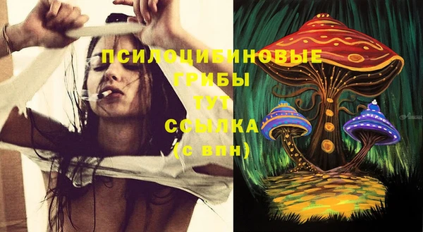 ГАЛЛЮЦИНОГЕННЫЕ ГРИБЫ Ладушкин