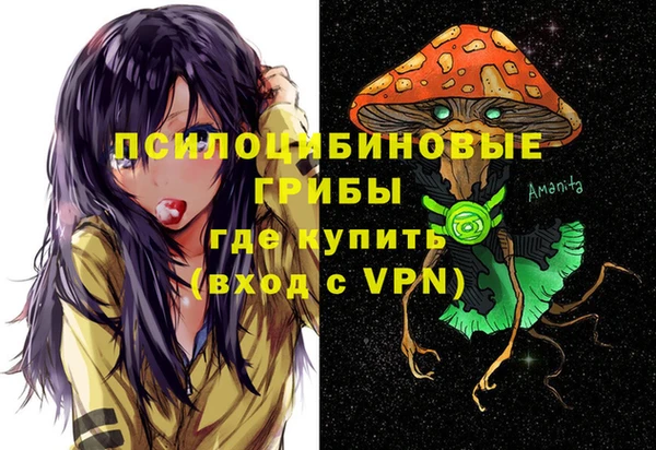 ГАЛЛЮЦИНОГЕННЫЕ ГРИБЫ Ладушкин