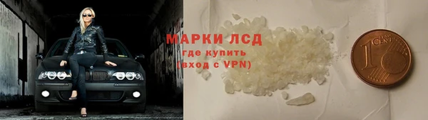ГАЛЛЮЦИНОГЕННЫЕ ГРИБЫ Ладушкин